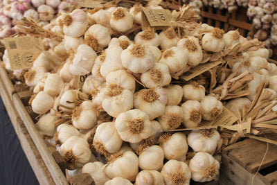 Make your own all-natural garlic sprays