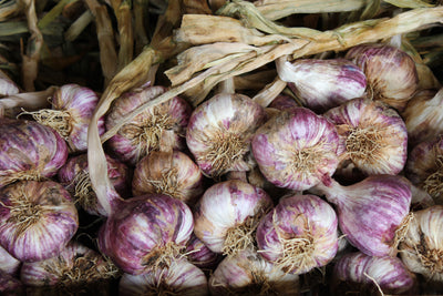 Garlic Planting, Aerodromes & Love