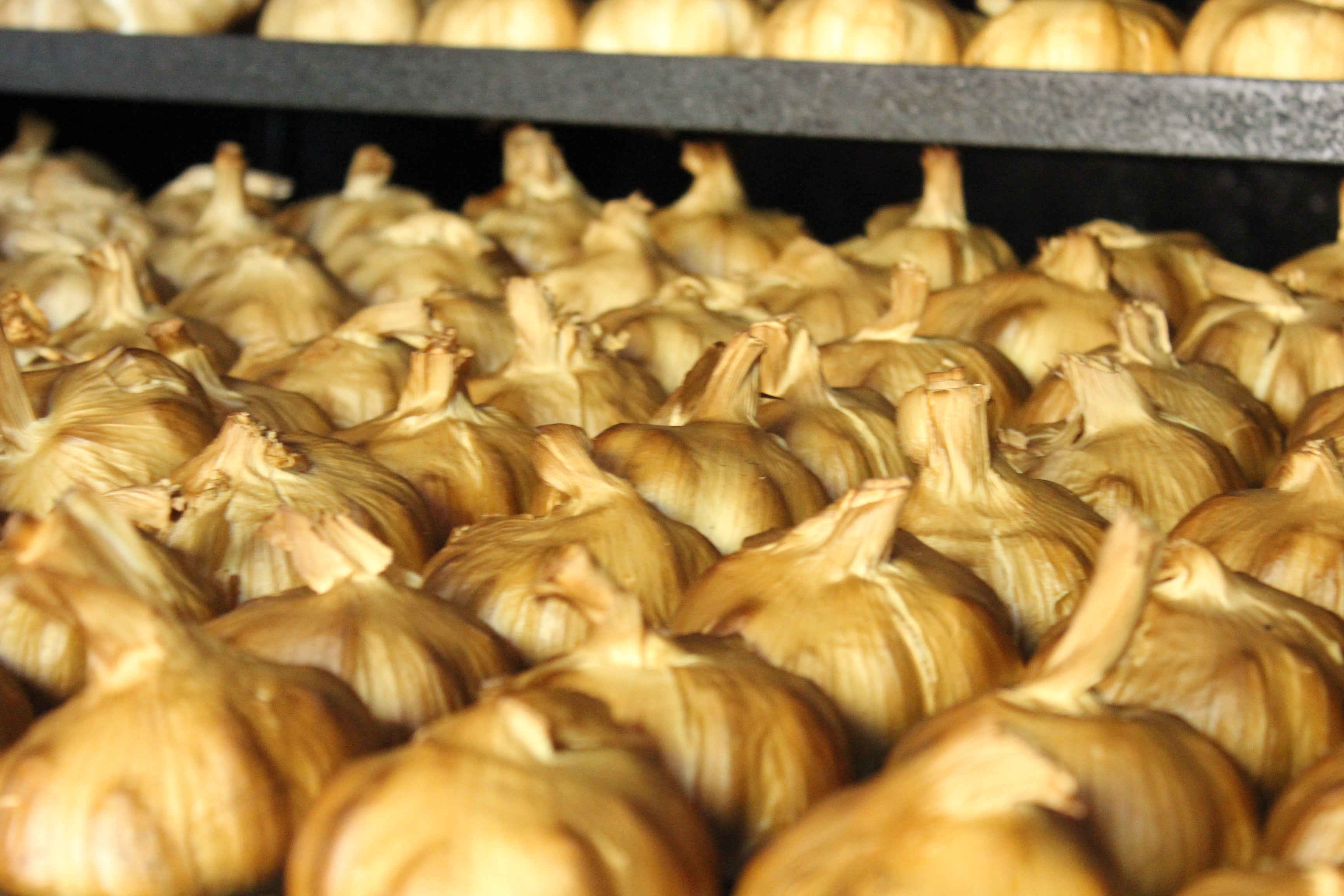 Smoked Garlic Q&A The Garlic Farm