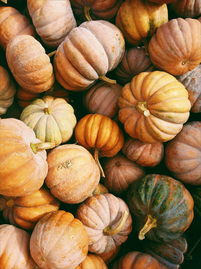 Roasted Pumpkin & Garlic Soup