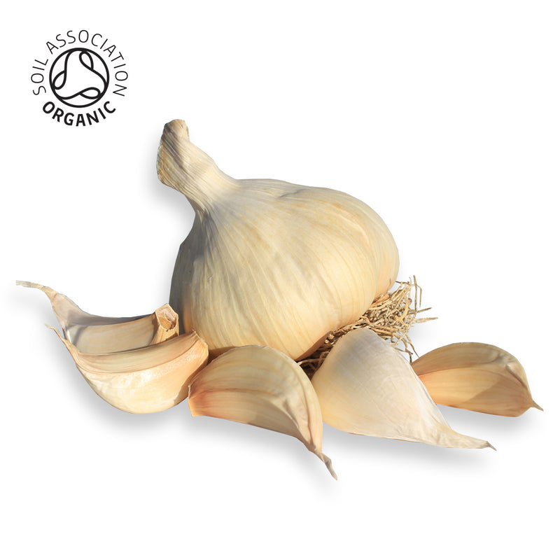 Organic Mersley Wight ® Seed - 4 Bulbs