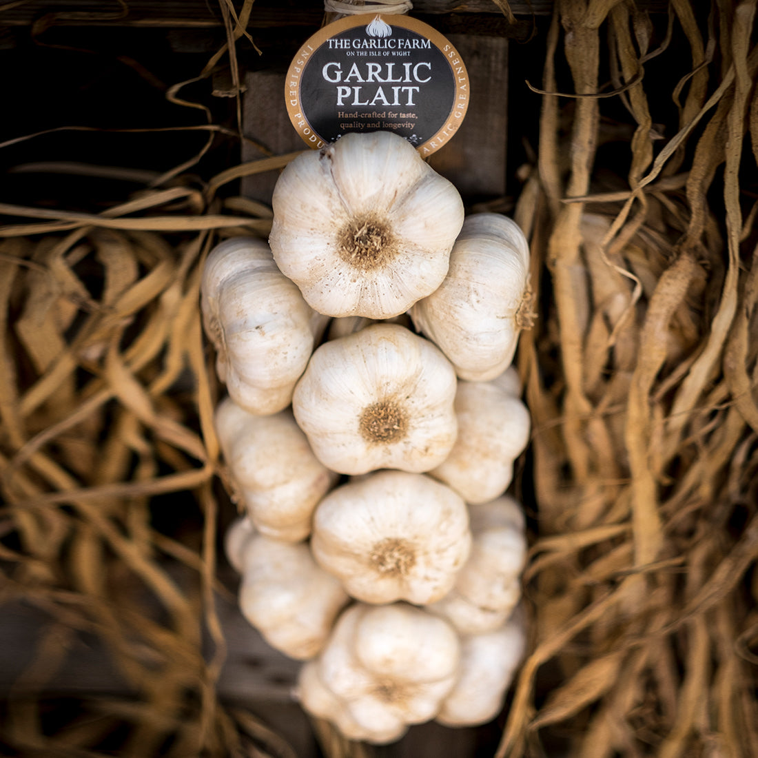 Maddock Wight Plait The Garlic Farm Isle Of Wight Maddock wight plait the garlic farm isle of wight