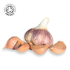 Organic Rhapsody Wight ® Seed - 4 Bulbs
