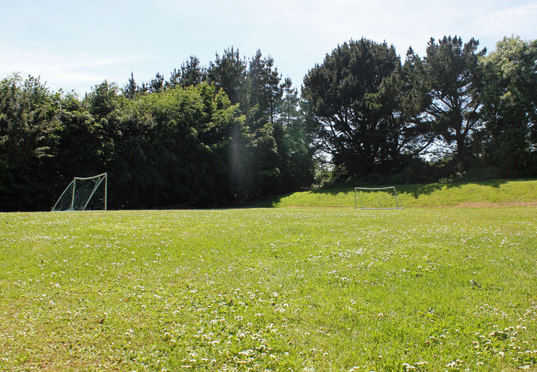 Campervans and camping from £340