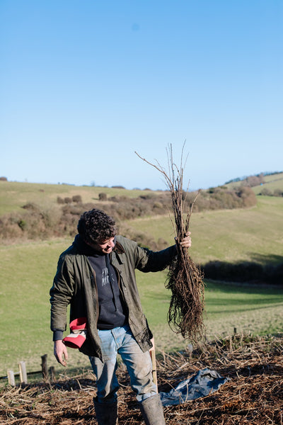 Farm Tours - let us show you around