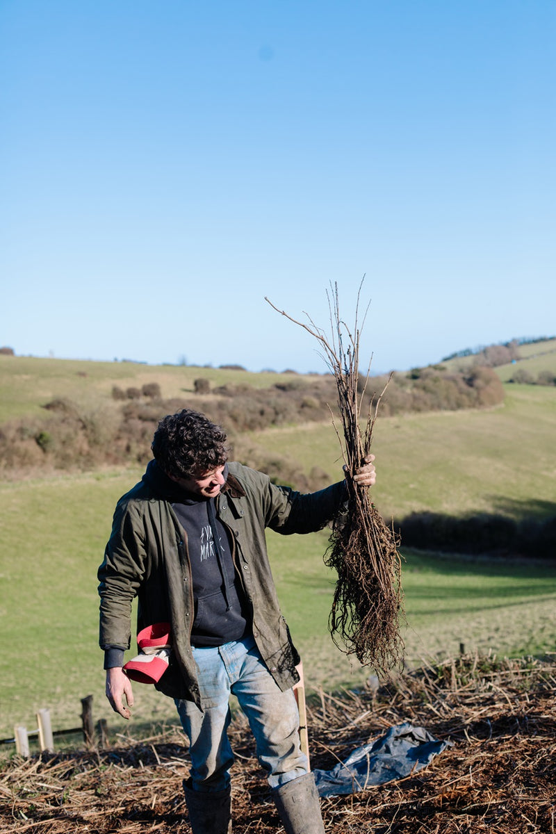 Farm Tours - let us show you around