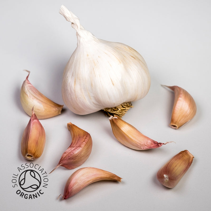Organic Mersley Wight ® Seed - 4 Bulbs