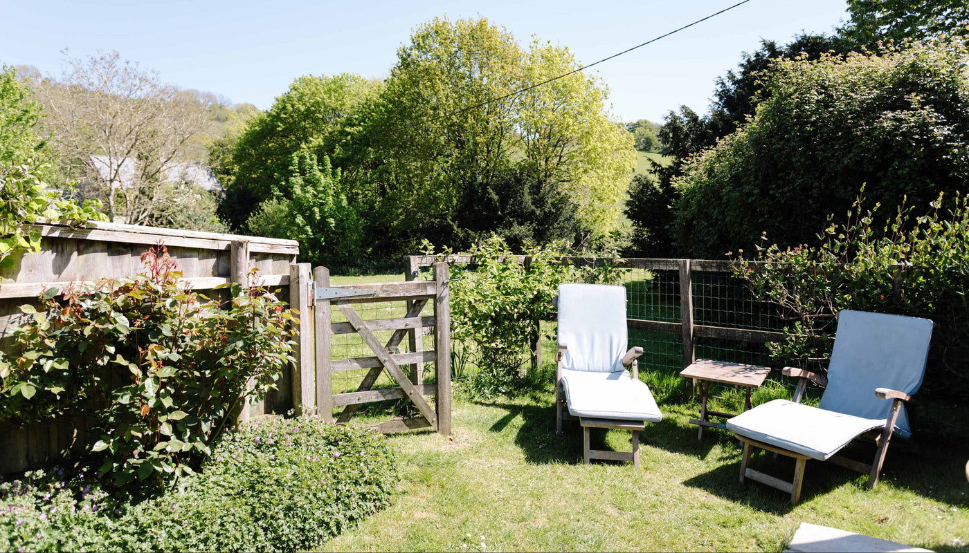 Garden with two lounge chairs, wooden gate, and greenery under a clear blue sky.