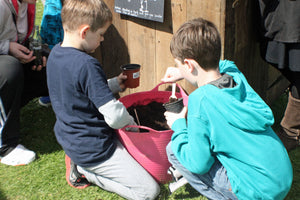 Schools planting garlic