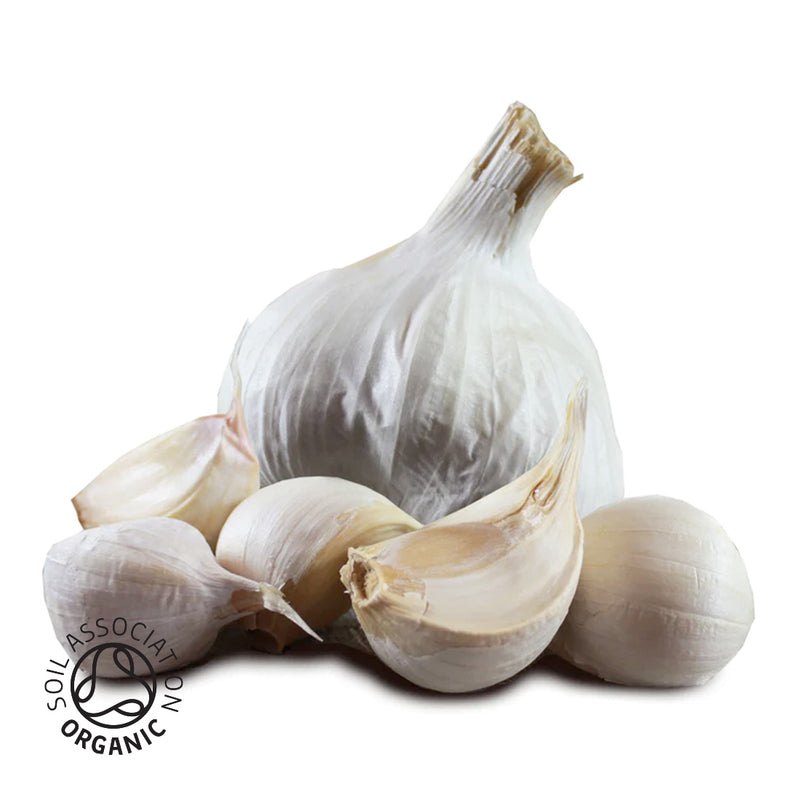 Organic Provence Wight Seed - 4 Bulbs