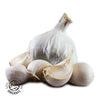 Organic Provence Wight Seed - 4 Bulbs