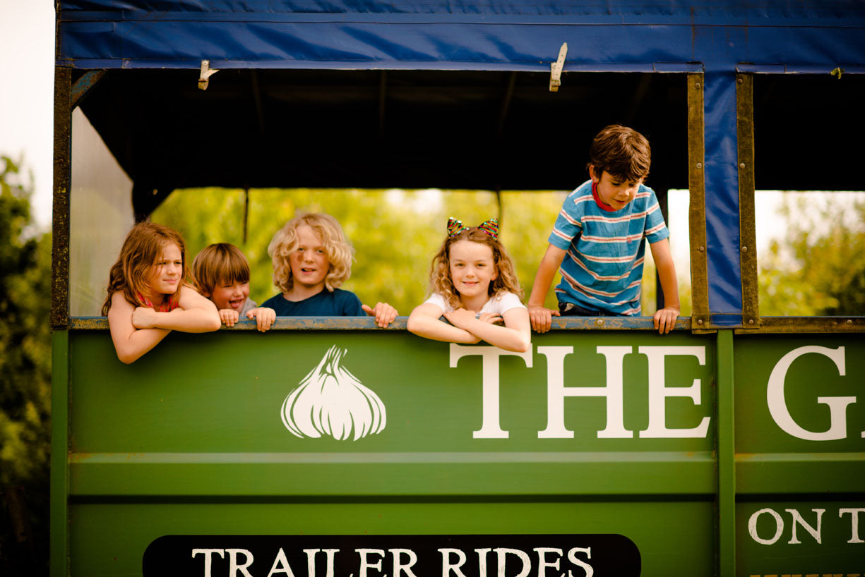 Garlic Farm Tractor Rides