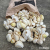 Wonky Wight Rustic Garlic: 10-Bulbs