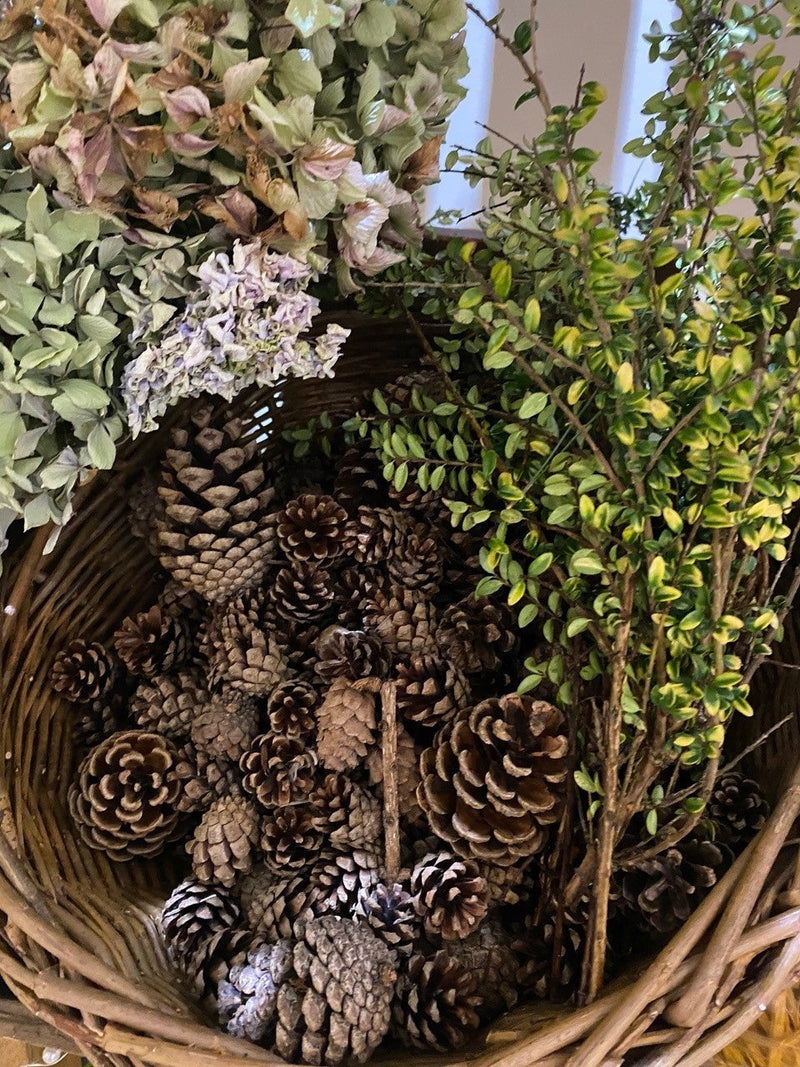 Festive Wreath Making Workshop with Wight Apothecary