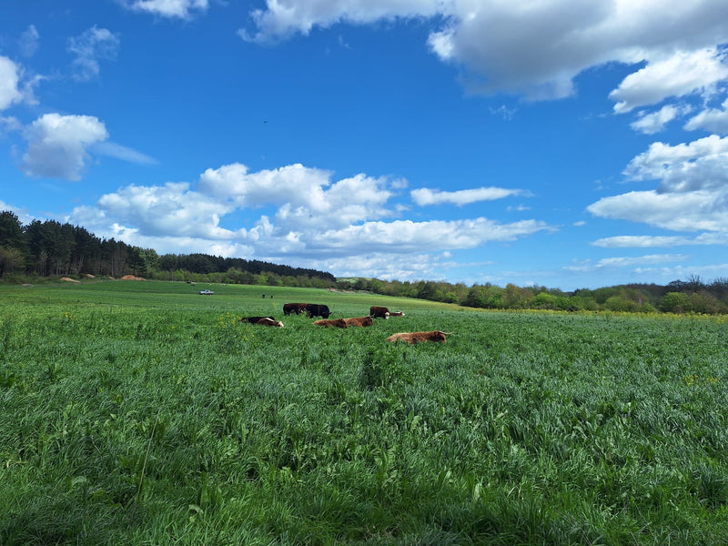 Farm Tours - let us show you around