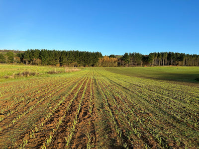 Farm Tours - let us show you around