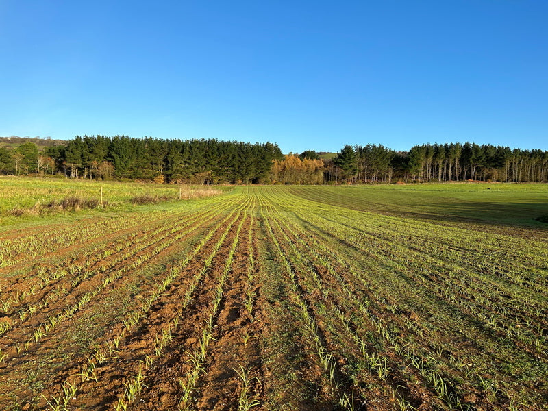 Farm Tours - let us show you around