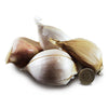Elephant Garlic Seed     