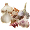 Winter Planting Pack X 4 Bulbs  