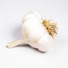 Mersley Wight ® Seed 2 Or 4 Bulbs