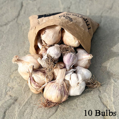 Wonky Wight Rustic Garlic 10 Bulbs  