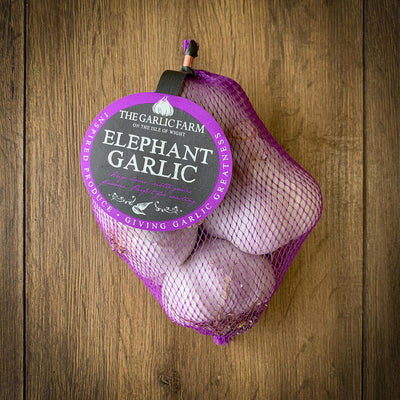 Elephant Garlic      