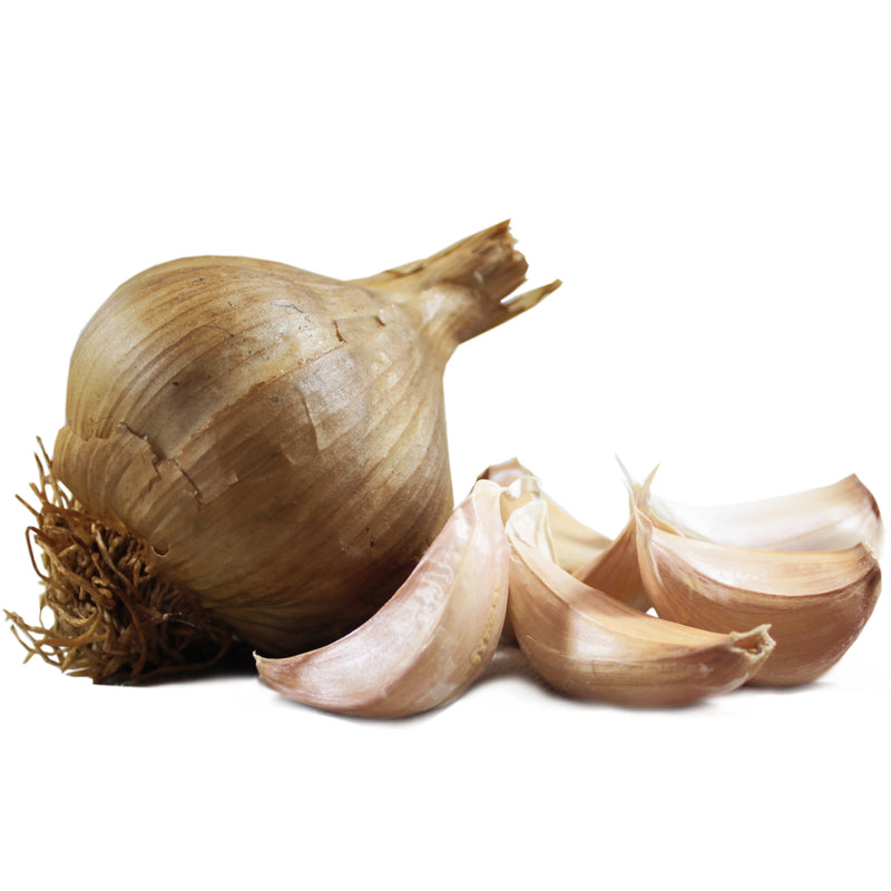 Smoked Garlic Large Bulbs    