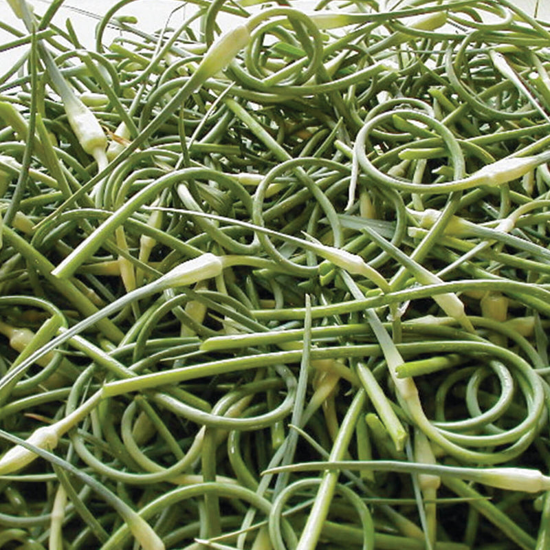 Lubasha Scapes 1Kg     